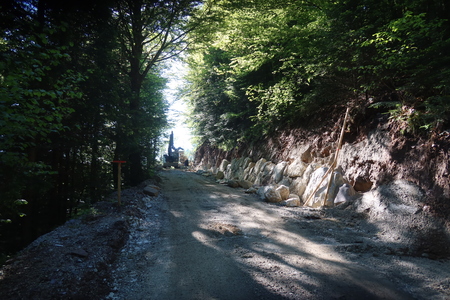 Petačev graben (6)